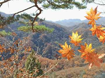 打胎药/堕胎药专卖微信结束卖空禁令一个月后，韩国股市卖空活动恢复到禁令开始前的水平
