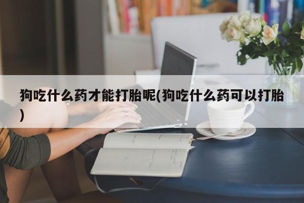 打胎药/堕胎药专卖微信狗吃什么药才能打胎呢(狗吃什么药可以打胎)