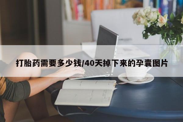 打胎药/堕胎药专卖微信打胎药需要多少钱/40天掉下来的孕囊图片
