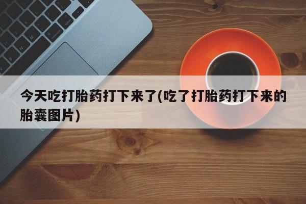 打胎药/堕胎药专卖微信今天吃打胎药打下来了(吃了打胎药打下来的胎囊图片)